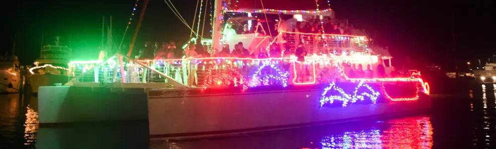 Be sure to catch December’s boat parades across the nation to witness colorfully lit vessels with creative ornaments cruise down a waterway near you. 